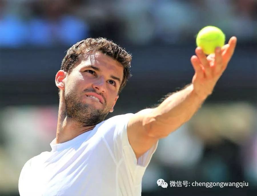 例如社区网 例如社区网