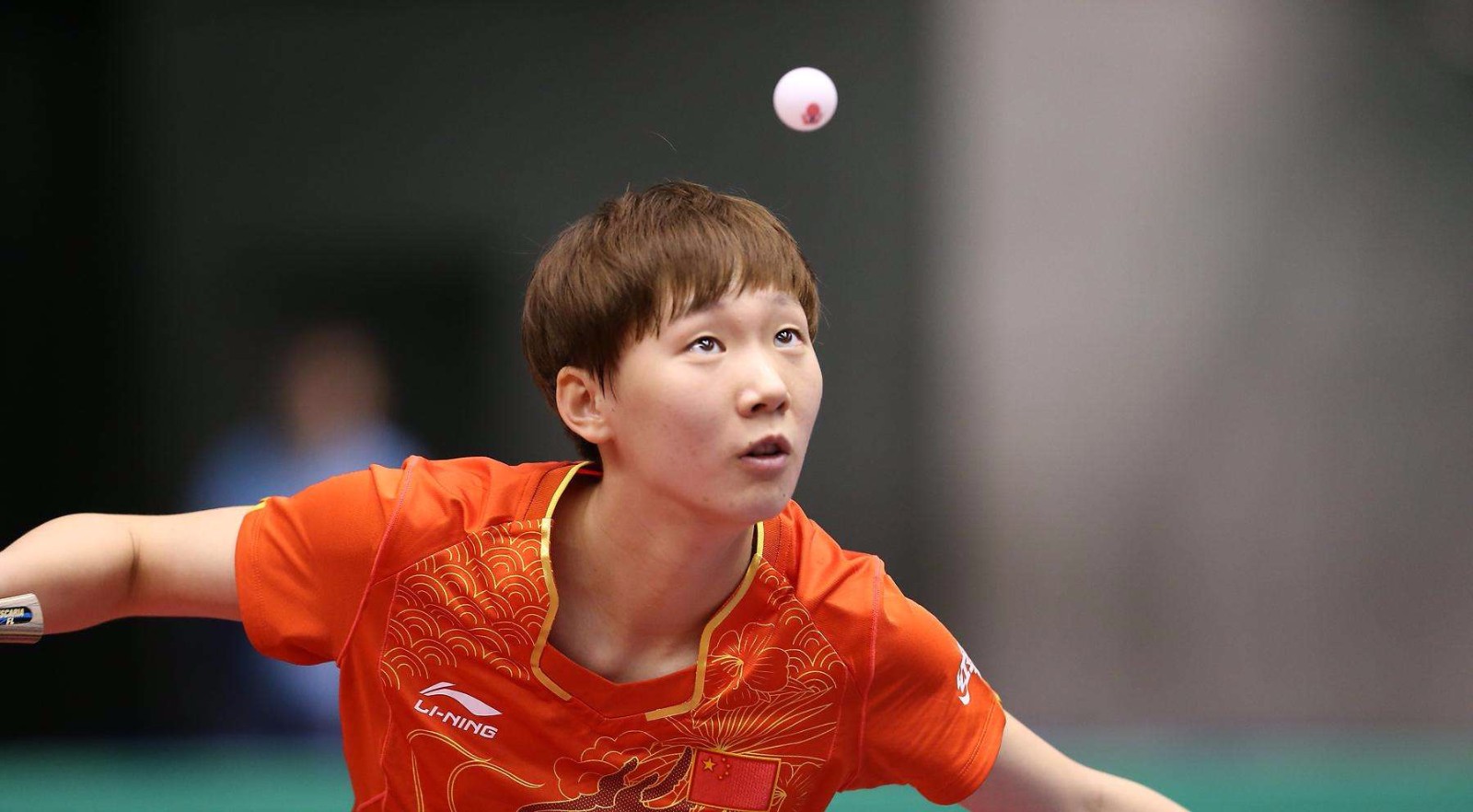 末轮前若分 末轮前若分