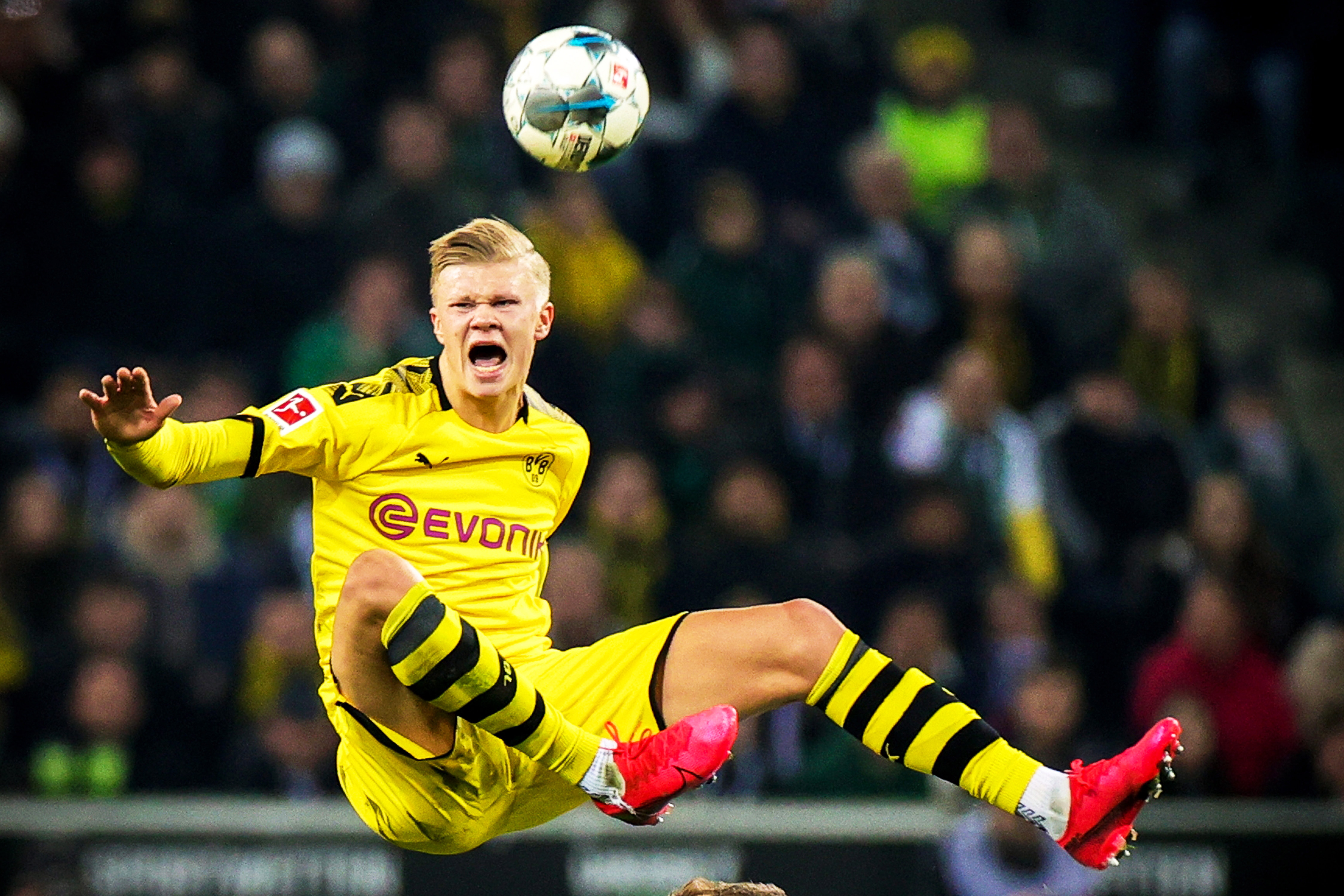 教练在43 教练在43